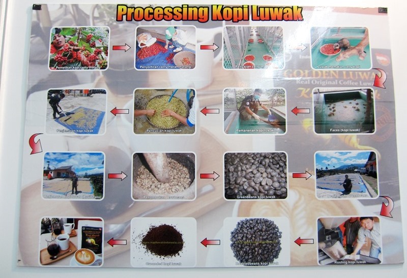 Café Luwak - Trade Expo Jakarta 2013