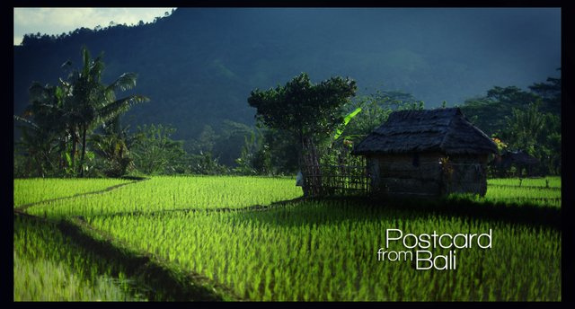Invitation au Bali poétique (Stephan Kot)