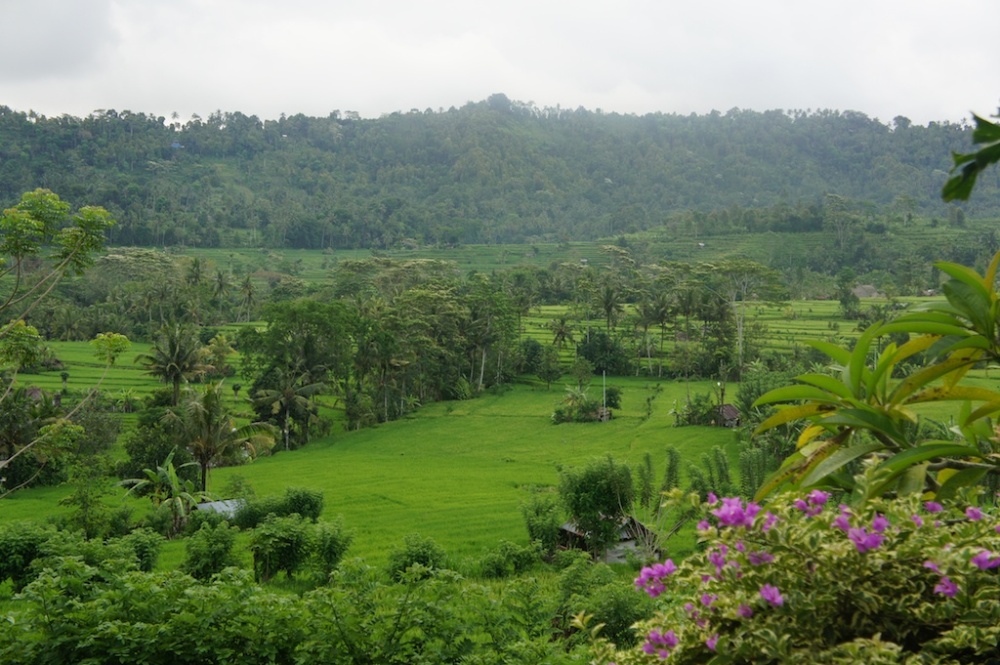 Fred, 3 semaines à Bali : la vallée de Sidemen (Karangasem, Bali)