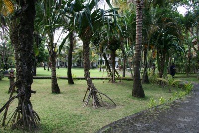 Se loger à Kuta : le Suji Bungalows