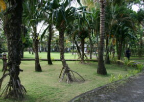 Se loger à Kuta : le Suji Bungalows