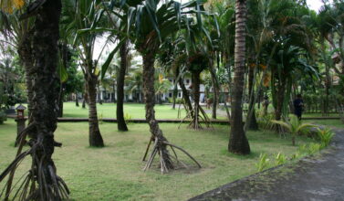 Se loger à Kuta : le Suji Bungalows
