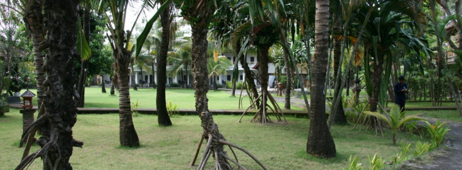 Se loger à Kuta : le Suji Bungalows