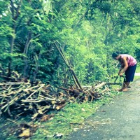 Balade dans la jungle d'Amed, Jemeluk et Bangle en scooter - Bali, Karangasem, Indonesie