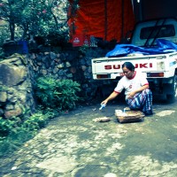 Balade dans la jungle d'Amed, Jemeluk et Bangle en scooter - Bali, Karangasem, Indonesie