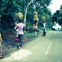 Balade dans la jungle d'Amed, Jemeluk et Bangle en scooter - Bali, Karangasem, Indonesie