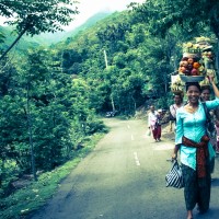 Balade dans la jungle d'Amed, Jemeluk et Bangle en scooter - Bali, Karangasem, Indonesie