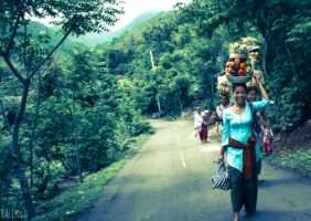 Balade dans la jungle d'Amed, Jemeluk et Bangle en scooter - Bali, Karangasem, Indonesie
