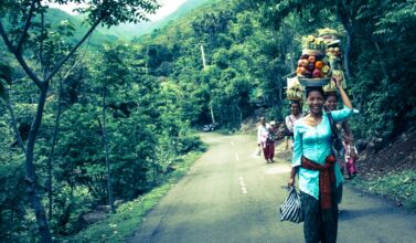 Balade dans la jungle d'Amed, Jemeluk et Bangle en scooter - Bali, Karangasem, Indonesie
