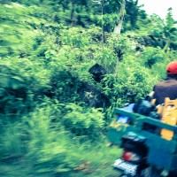 Balade dans la jungle d'Amed, Jemeluk et Bangle en scooter - Bali, Karangasem, Indonesie