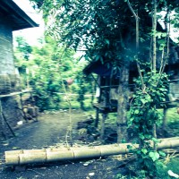 Balade dans la jungle d'Amed, Jemeluk et Bangle en scooter - Bali, Karangasem, Indonesie
