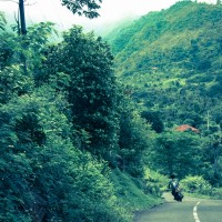 Balade dans la jungle d'Amed, Jemeluk et Bangle en scooter - Bali, Karangasem, Indonesie