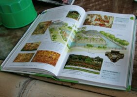 3 guides et 2 cartes pour explorer à Bali et Lombok