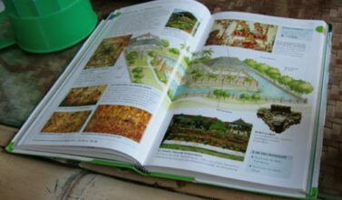 3 guides et 2 cartes pour explorer à Bali et Lombok