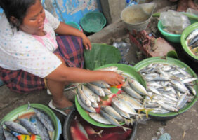 Marche aux poissons d’Ampenan à Lombok