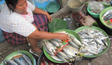 Marche aux poissons d’Ampenan à Lombok