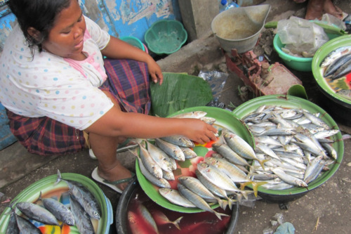 Marche aux poissons d’Ampenan à Lombok