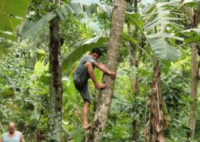 homme noix de coco