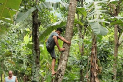 homme noix de coco
