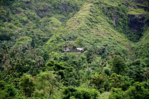 Une petite maison dans la jungle autour d'Amed, Karangasem, Bali