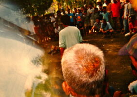combat de coq vincent i went to bali too