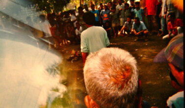combat de coq vincent i went to bali too