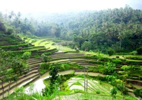 Brina rice fields, Karangasem, Bali