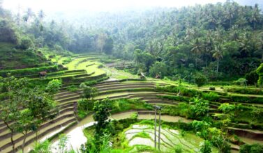 Brina rice fields, Karangasem, Bali
