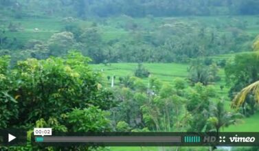 la vallée de sidemen par fred