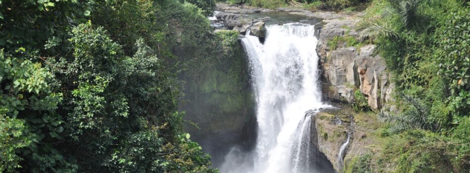 La cascade de Tegenungan (ou Kemenuh)