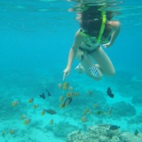 Snorkeling à Trawangan Lombok - Balisolo