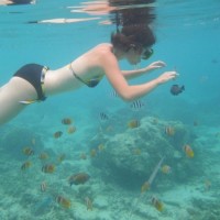 Snorkeling à Trawangan Lombok - Balisolo