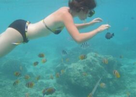 Snorkeling à Trawangan Lombok - Balisolo