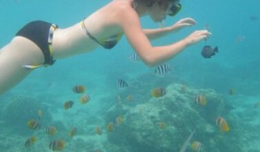 Snorkeling à Trawangan Lombok - Balisolo