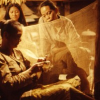 2001 : Whispering Sands (Pasir Berbisik) - Nan Achnas