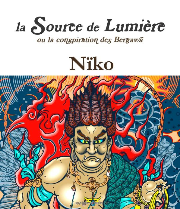Ebook roman la source de lumière ou la conspiration des Bergawa par Nicolas Ferrand-Touray
