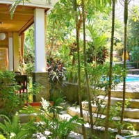 Jardin au Tropical Bali Hotel Sanur Balisolo Audrey
