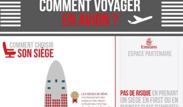 Extrait [Infographie] comment voyager en avion