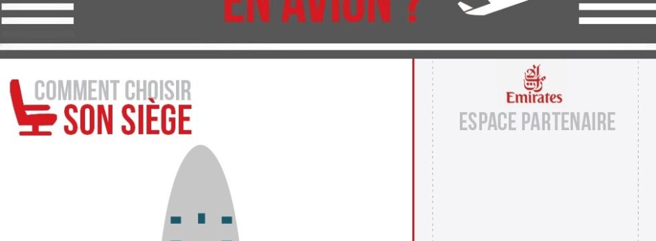 Extrait [Infographie] comment voyager en avion