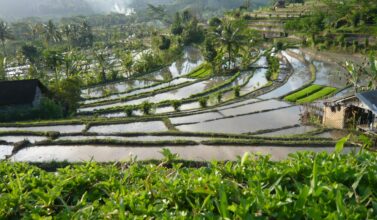 Sidemen, Karangasem, Bali