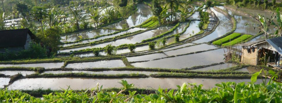 Sidemen, Karangasem, Bali