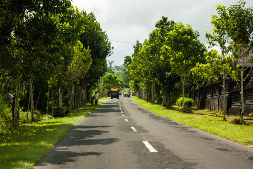 Louer une voiture et conduire à Bali 