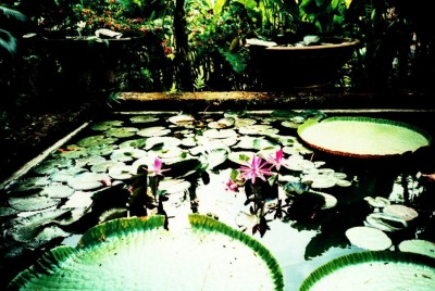 Interview : De la Lorraine à Bali en voyage organisé