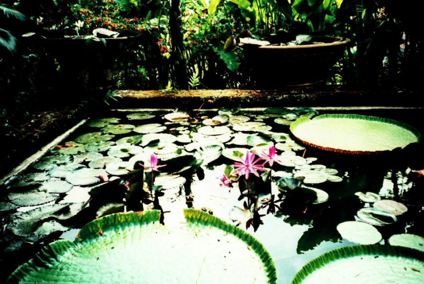 Interview : De la Lorraine à Bali en voyage organisé