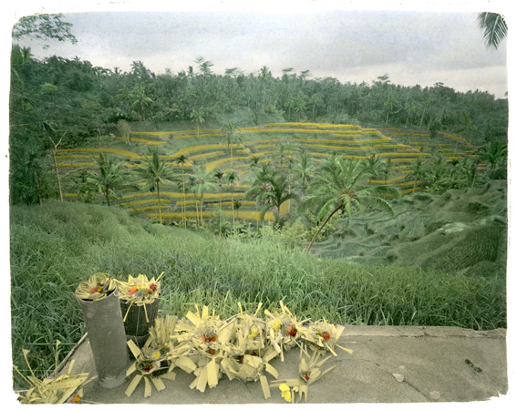 Exposition Photo Bali - Rizieres © Jean-Marc Dugas