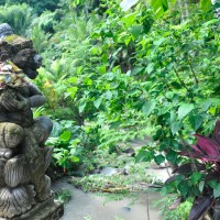 Air Panas Hot Springs, Banjar, Bali © Mariska Richters
