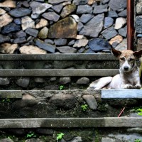 Air Panas Hot Springs, Banjar, Bali © Mariska Richters
