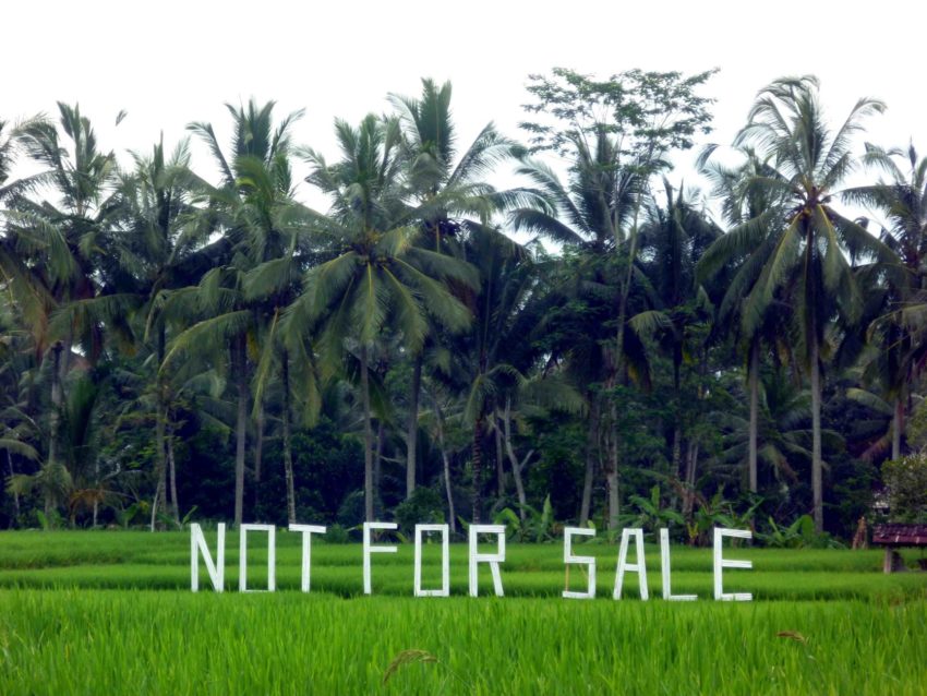 Reportage : l'eau et les déchets à Bali