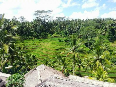 Interview : Elo la rêveuse eveillée - I went to Bali too!
