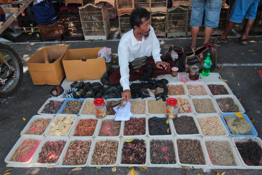 Une journée à Denpasar avec Made Widiastika_Balisolo-9